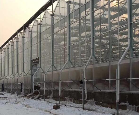 玻璃溫室大棚智能開窗機(jī)